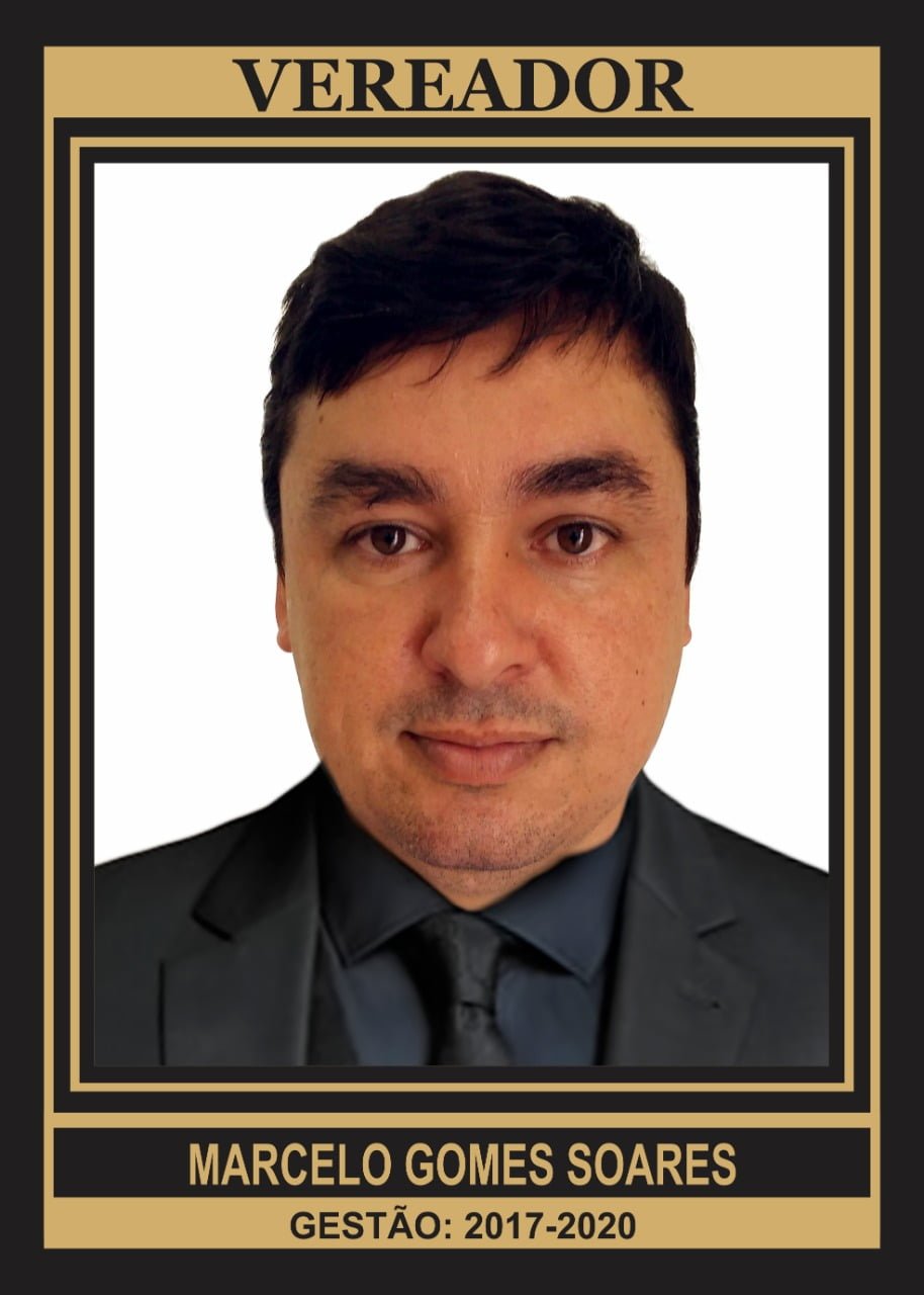 Marcelo Gomes Soares
